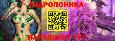 прущие грибы Нягань