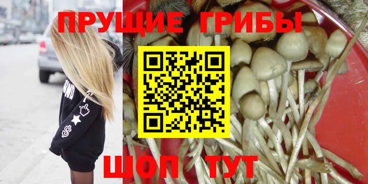 Псилоцибиновые грибы прущие грибы  Псилоцибиновые грибы ЛСД  Вход с VPN  Ревда 